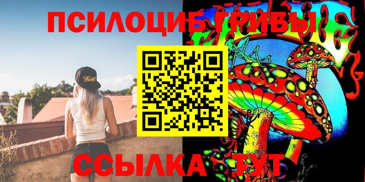Кольчугино  Псилоцибиновые грибы мицелий  Вход с VPN  Псилоцибиновые грибы MAGIC MUSHROOMS 