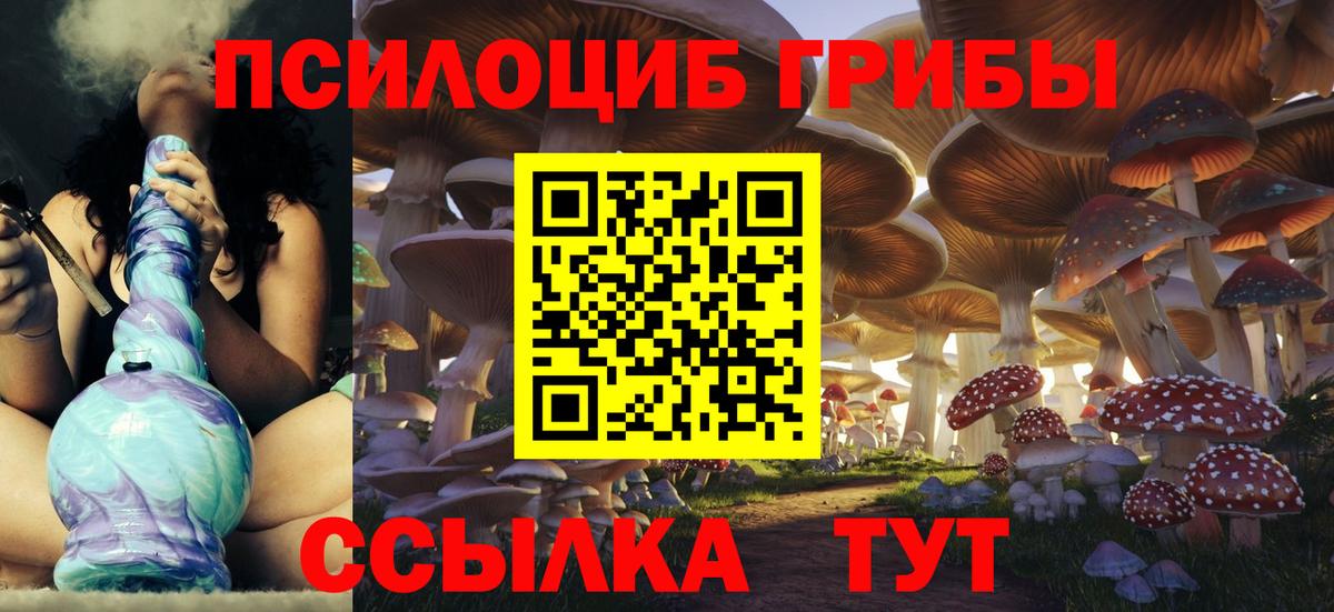 Псилоцибиновые грибы прущие грибы Кольчугино